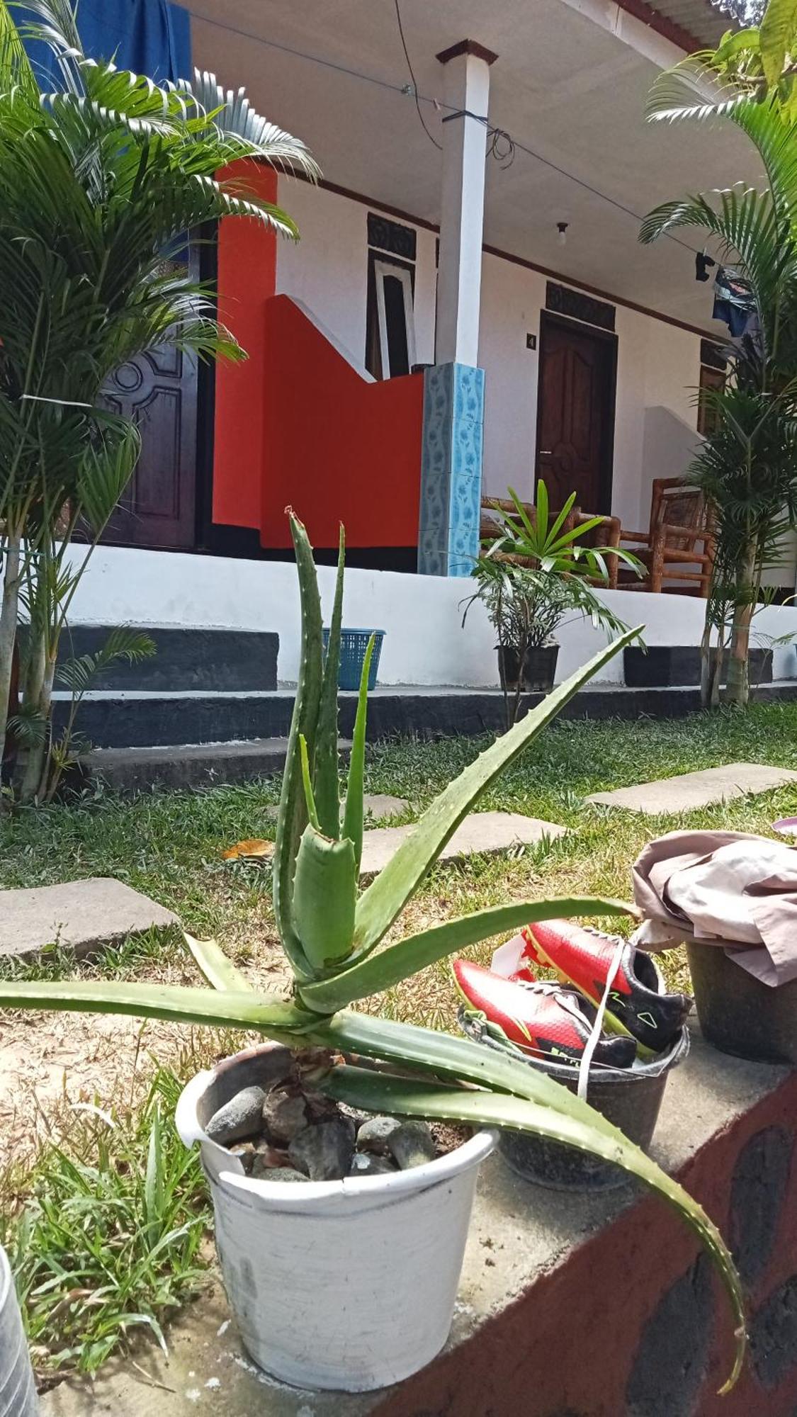 Roy Homestay Kuta Kuta  Екстериор снимка